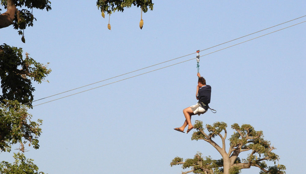 Accrobaobab Adventure