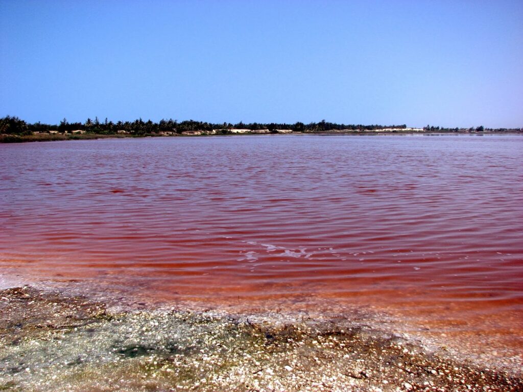 Excursion Lac Rose