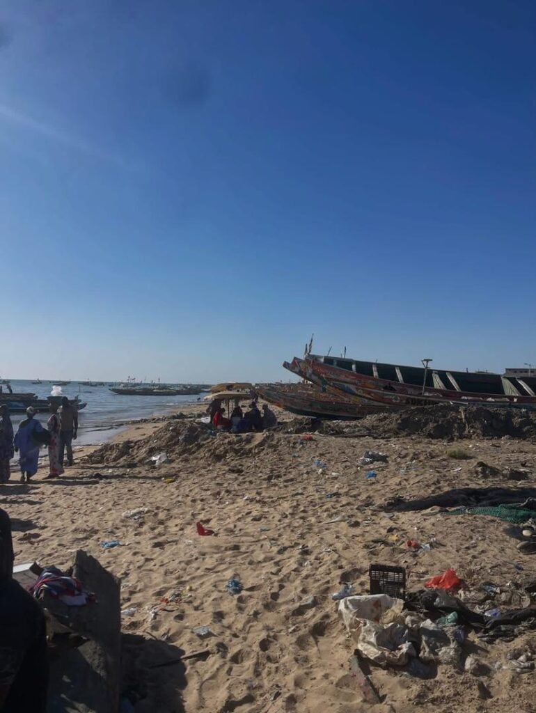 Excursions Arrivé des pêcheurs