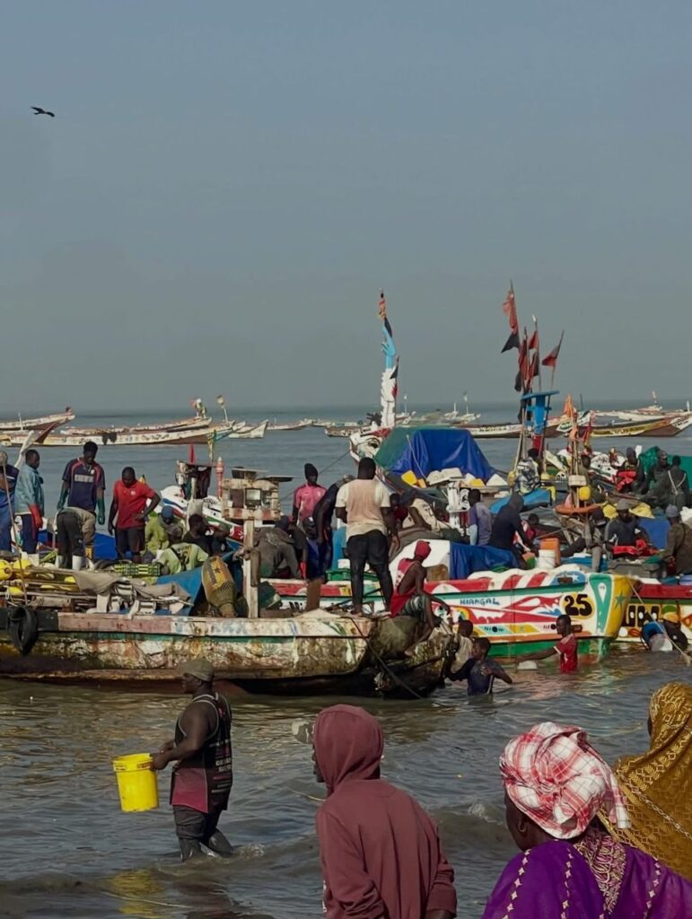 Excursions Arrivé des pêcheurs
