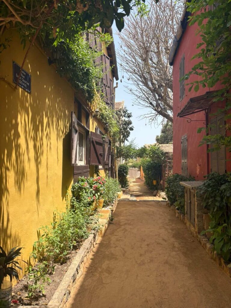 Excursion Île de Gorée & Dakar