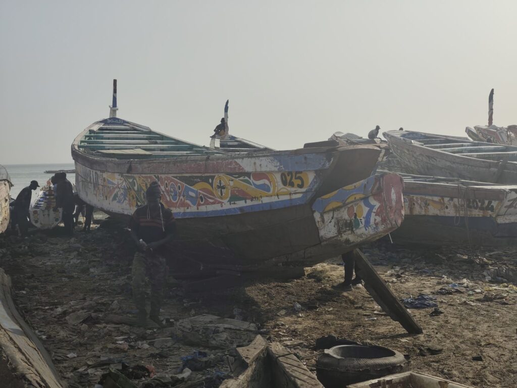 Excursions Arrivé des pêcheurs