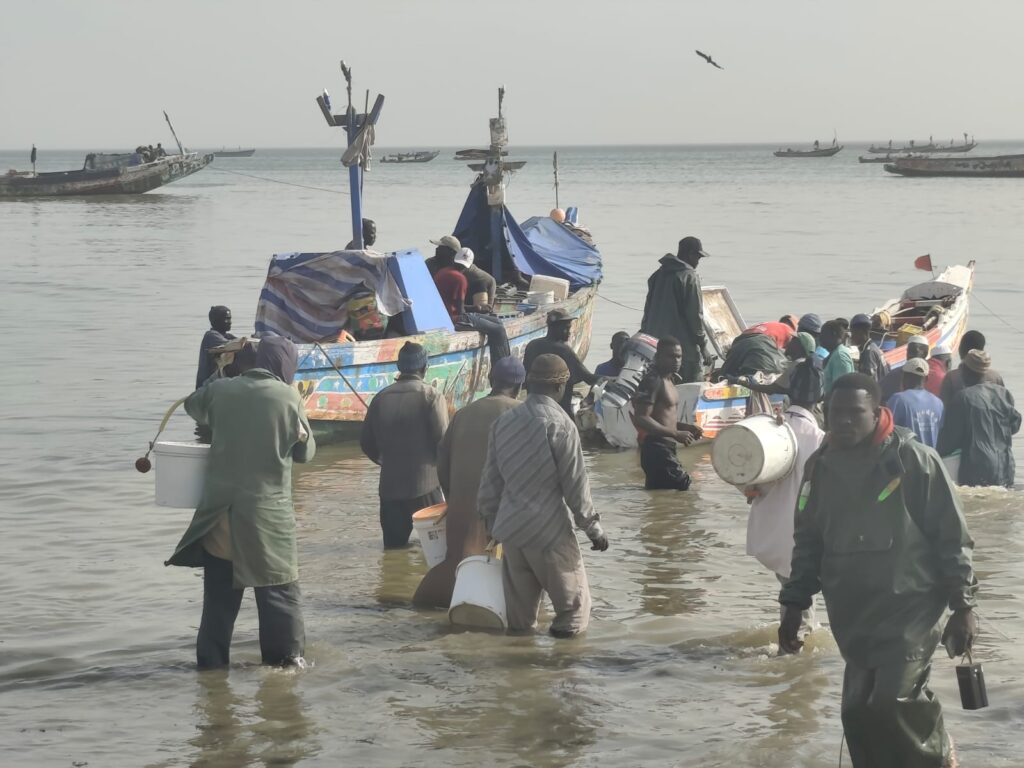 Excursions Arrivé des pêcheurs — Marché de Mbour