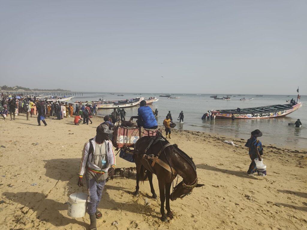 Excursions Arrivé des pêcheurs