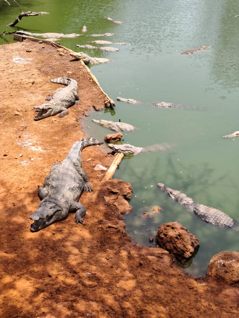 Que faire à Saly Sénégal